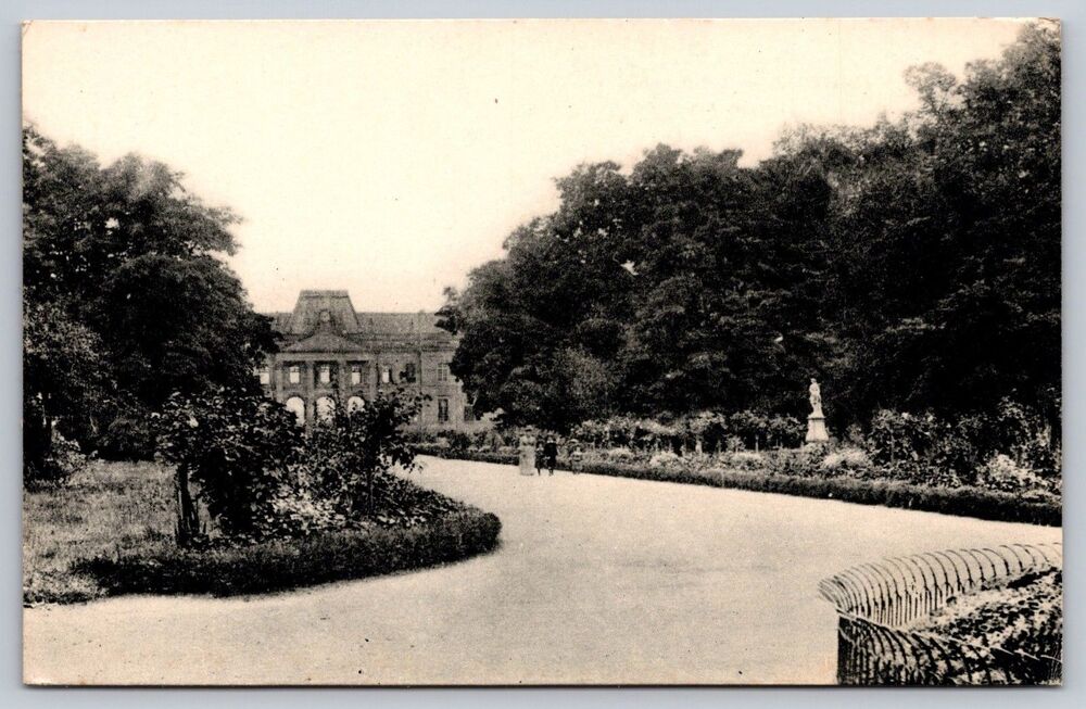 Vintage Postcard Luneville Les Bosquets La Grande Allee France Real Photo RPPC